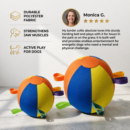 Interactive Colorful Herding Ball with Handles for Dogs – Durable Outdoor Training Toy