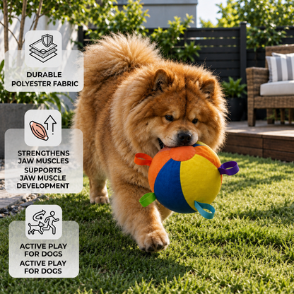 Interactive Colorful Herding Ball with Handles for Dogs – Durable Outdoor Training Toy