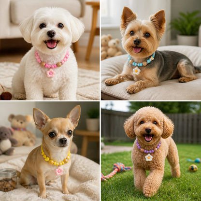 Cute Collar with Insect Repellent for Dogs