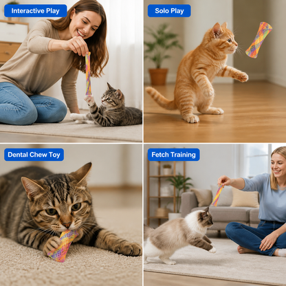 Spring Shape Multi-Color Cat Bouncing Kitten Toys