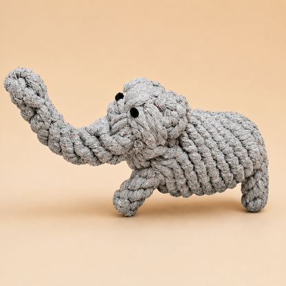 Carrot Cotton Rope Toy for Pets