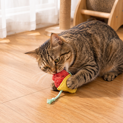 Teeth-Cleaning Catnip Chew Toys – Natural Loofah Dental Care & Play Set
