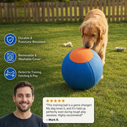 Durable training ball with cover for dogs