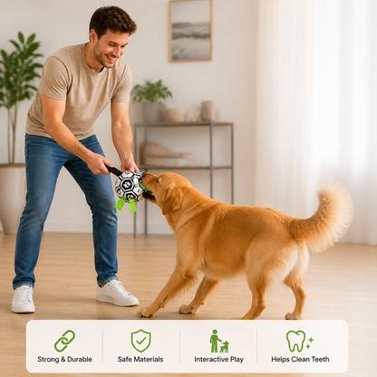 Robust dog toy ball with pull handles
