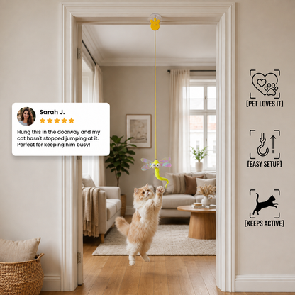 Interactive Hanging Cat Toy