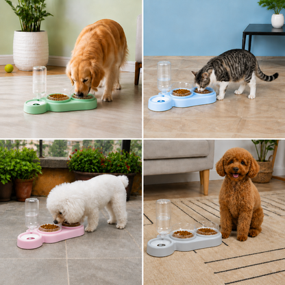 PetCare Dual Feeding Bowl with Auto Water Dispenser