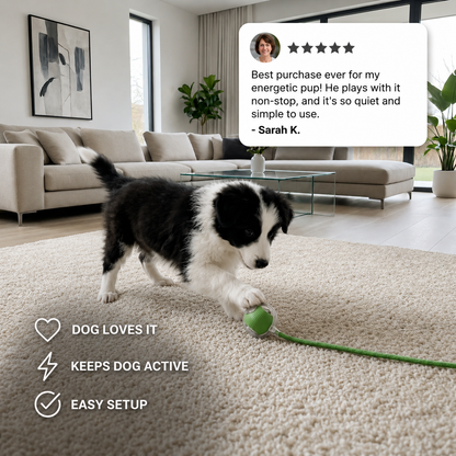 Active Rolling Ball with Tail for Dogs