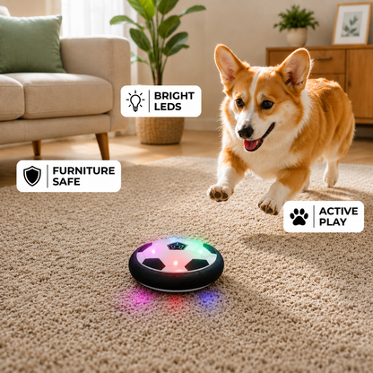 Interactive Dog Soccer Toy – KickFetch Pro