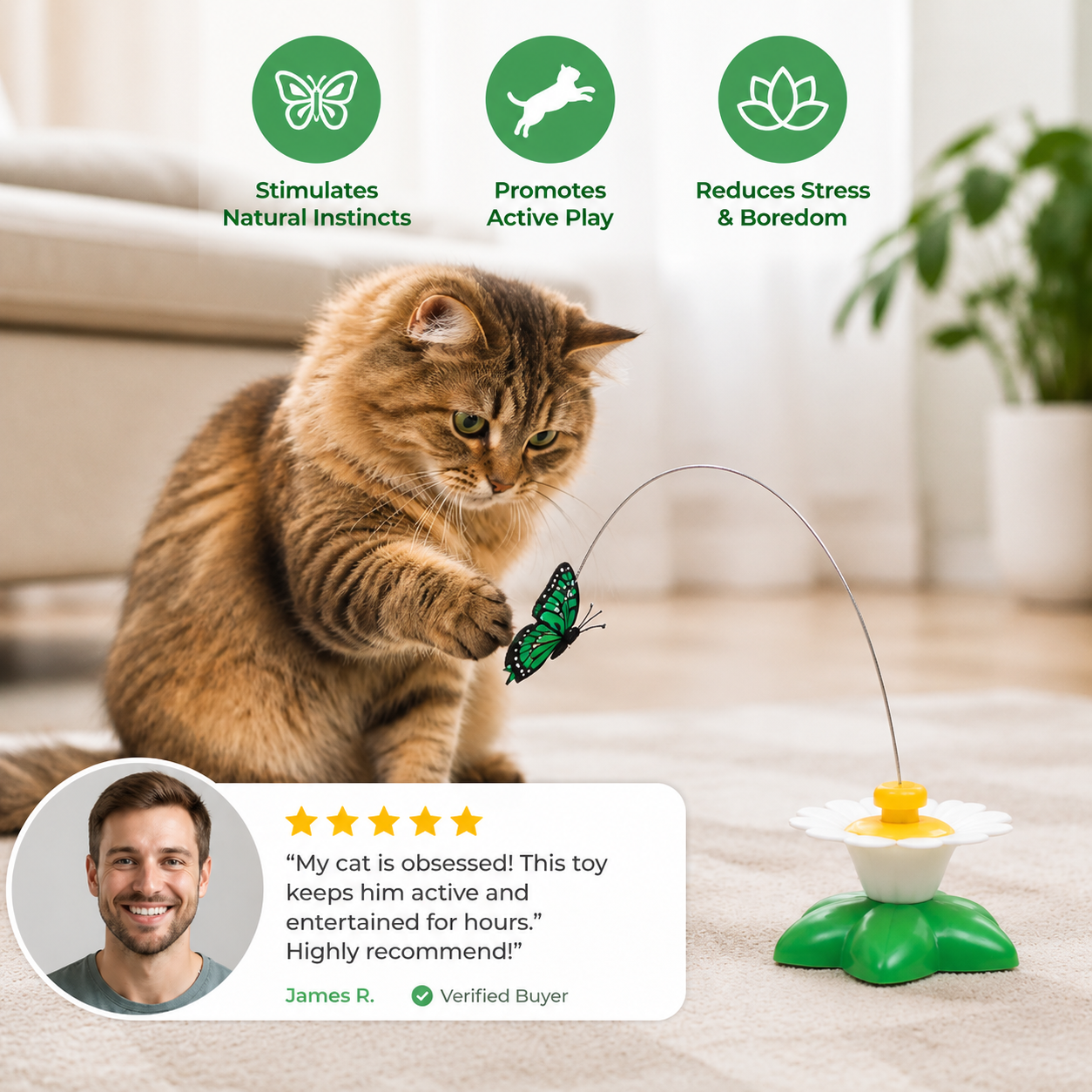 Butterfly Toy For Cats