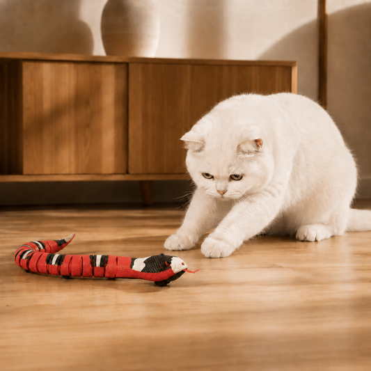 Snakey - Interactive Cat Toy