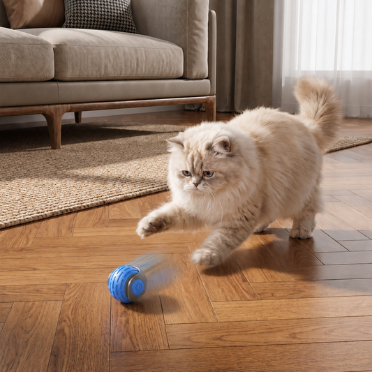 The Ultimate Automatic Rolling Toy for Cats!