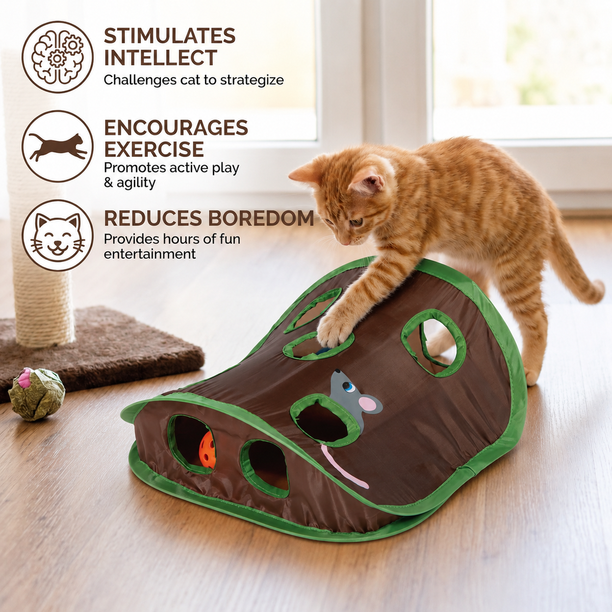 Cat Mice Game Intelligence Toys
