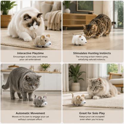Active Hamster Indoor Cat Toy