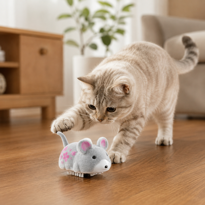 Active Hamster Indoor Cat Toy