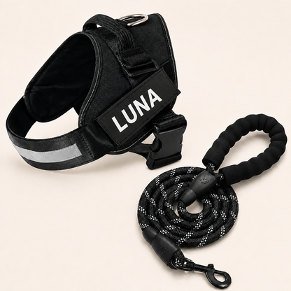 Personalized No-Pull Dog Harness for Easier Walks
