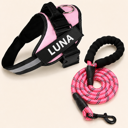 Personalized No-Pull Dog Harness for Easier Walks