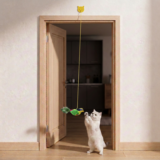Hanging bird cat toy