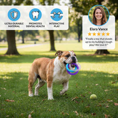 Durable tug toy for dogs