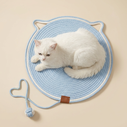 Cat Scratching Toy Carpet