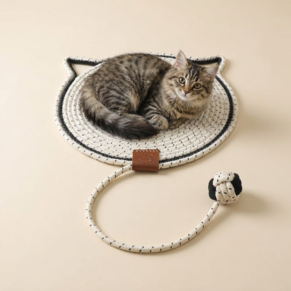 Cat Scratching Toy Carpet