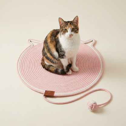Cat Scratching Toy Carpet