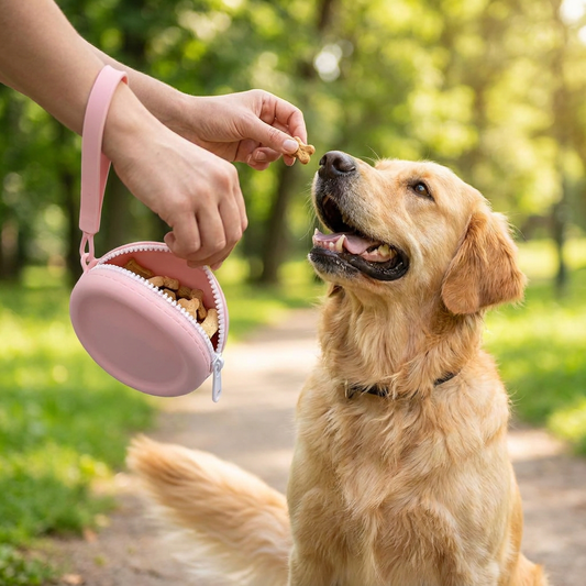 Portable Silicone Dog Treat Bag