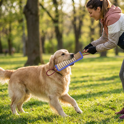 Chew Sticks & Chew Pads