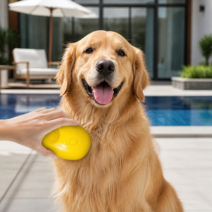 Steam Brush For Pets