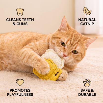 Teeth-Cleaning Catnip Chew Toys – Natural Loofah Dental Care & Play Set
