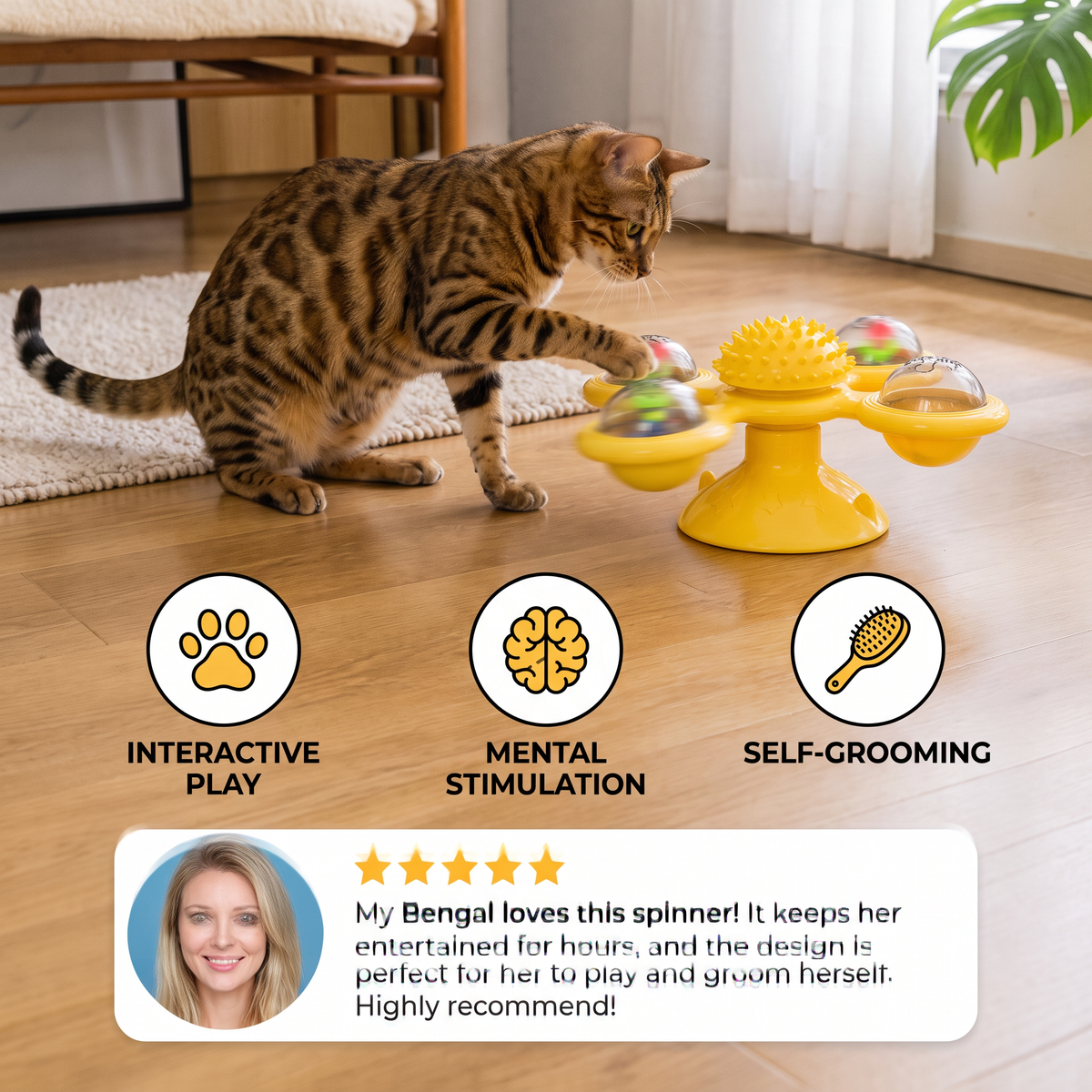 Cat Carousel Spinner Toy
