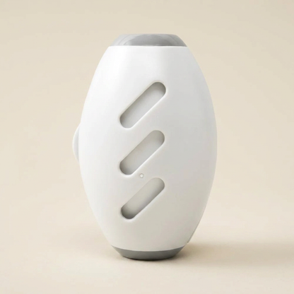 Reusable lint roller