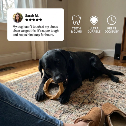 Premium Durable Dog Chew Toy