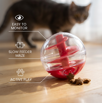 Cat Lick Eating Spiral Ball