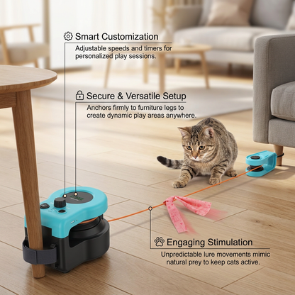 String Hunt Cat Toy