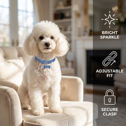 Glamorous Pet Collar – SparkleCollar