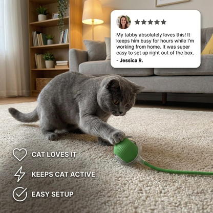 Active Rolling Ball with Tail for Cats