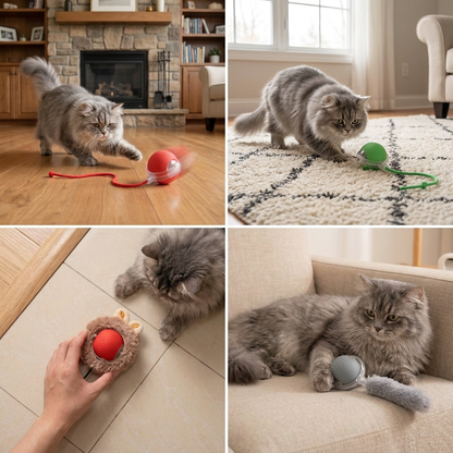 Active Rolling Ball with Tail for Cats