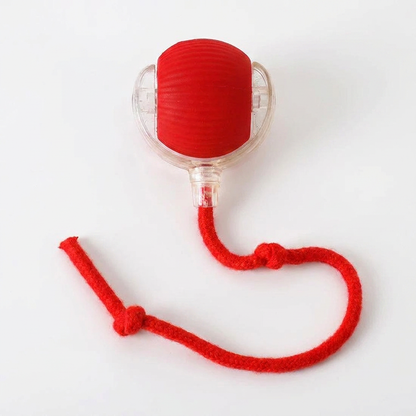 Active Rolling Ball with Tail for Dogs