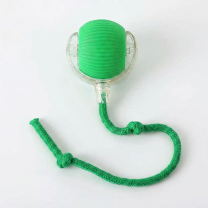 Active Rolling Ball with Tail for Dogs