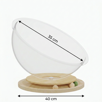 Cat Play and Relaxation Oasis – PurrPlay Pod