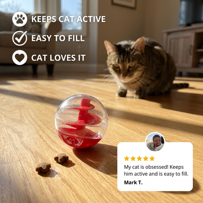 Cat Lick Eating Spiral Ball