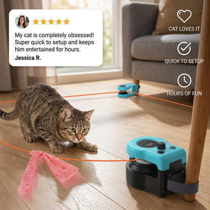 String Hunt Cat Toy