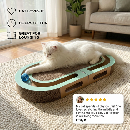 Cat Scratching and Play Bed Made of Cardboard