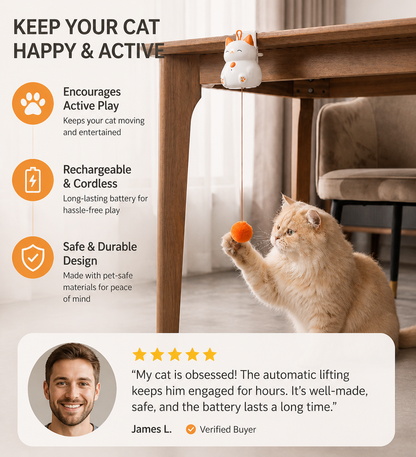 Interactive Rechargeable Cat Toy – Automatic Lifting Pom-Pom Teaser