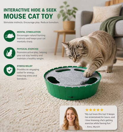 Interactive Hide & Seek Mouse Cat Toy