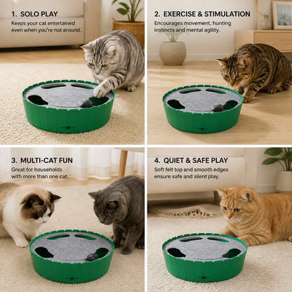 Interactive Hide & Seek Mouse Cat Toy