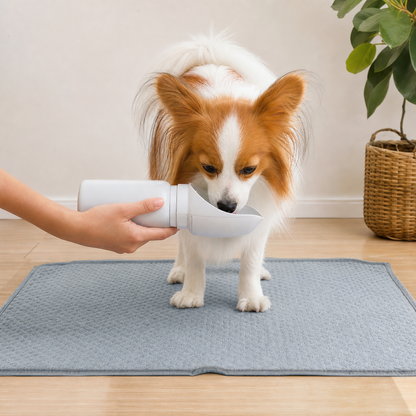 FoldSip Pet Cup