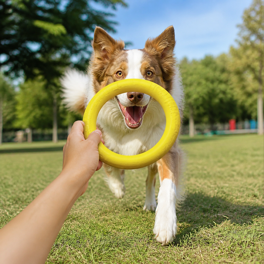 Flying Disc Training Ring Puller