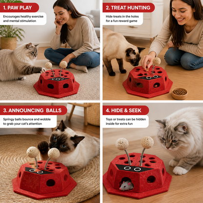 3in1 Interactive Ladybug Cat Puzzle Toy