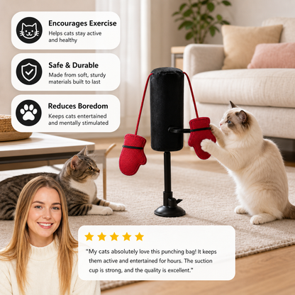 Interactive Cat Punching Bag Toy